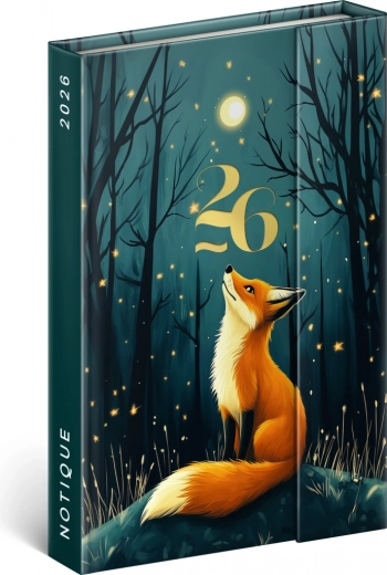 Weekly Magnetic Diary Fox 2026