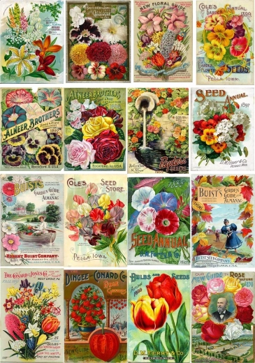 Enjoy Puzzle Vintage Flower Seed Packets 1000 Pieces