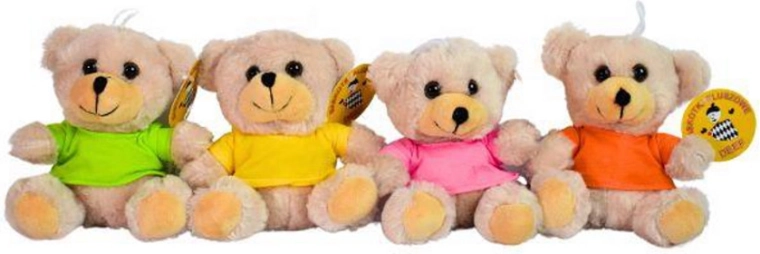Maandelijkse teddybeer in een T-shirt