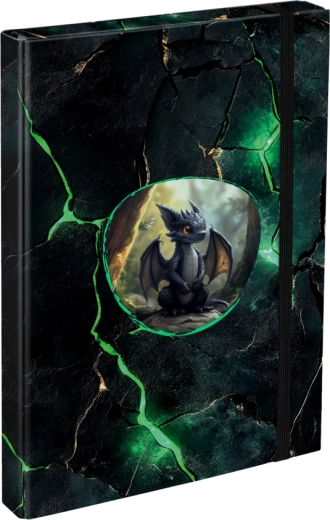 A4 School Exercise Book Folder with Dragon Motif BAAGL