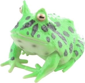 Éducative et amusante