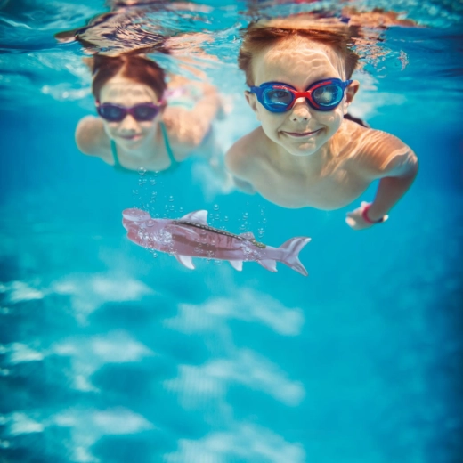 Set of 3 sharks for underwater “hunting”