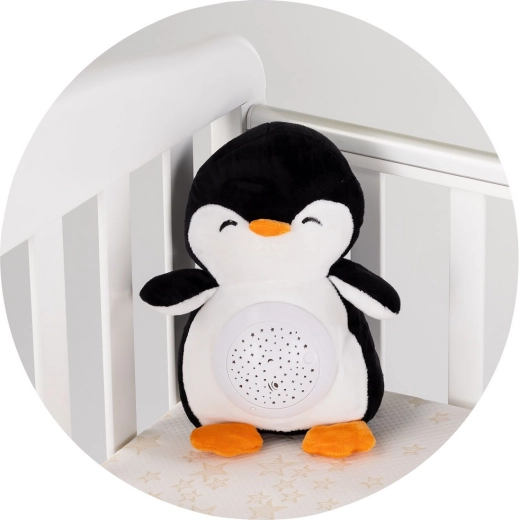 Eenvoudig onderhoud dankzij uitneembare module