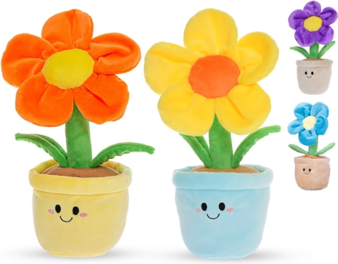 Sicher ab Geburt (0+)