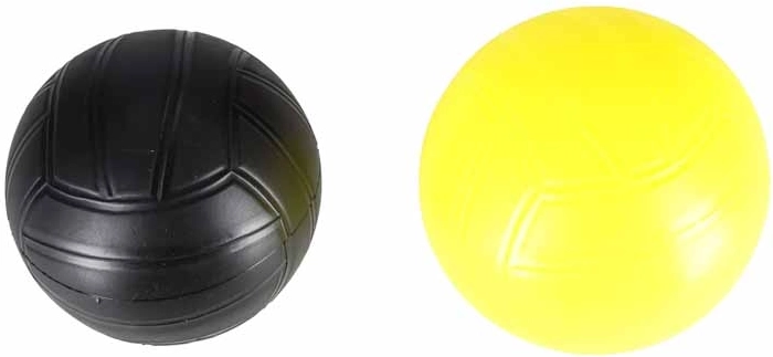 Complete set inclusief 2 ballen en een pompje