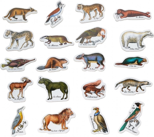 Aimants Zoologiques