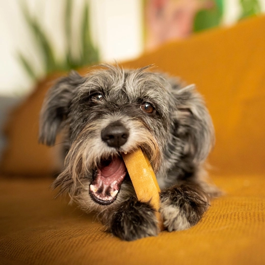 Natürliche Zahnpflege ohne Kompromisse