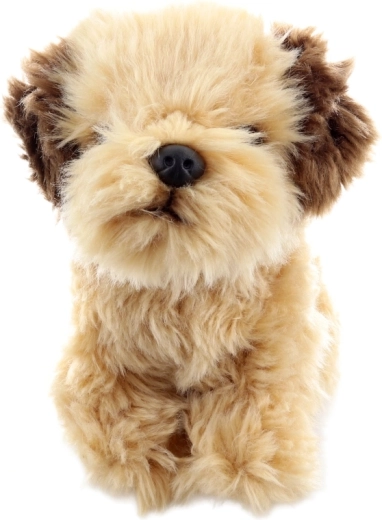 Safe play from birth