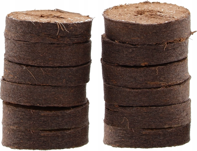 Pastilles de tourbe pour des racines propres et vigoureuses