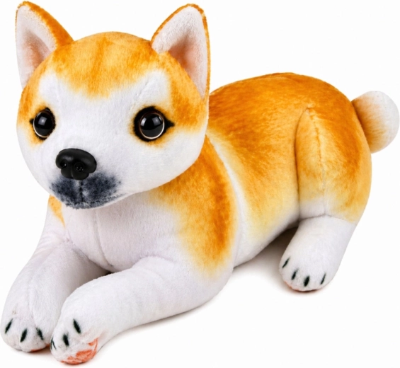 Realistic Shiba Inu look