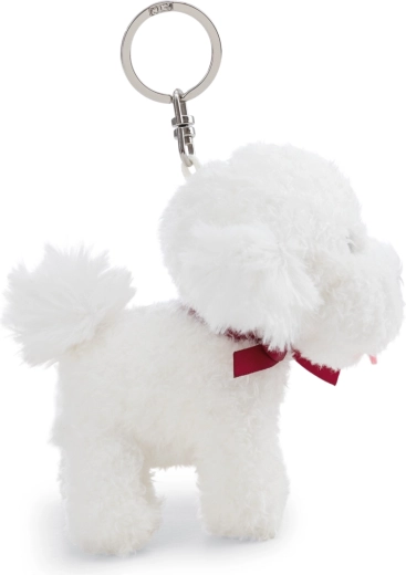 Secure attachment to keys and backpack
