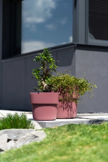 Ideal for indoors and outdoors