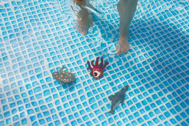 Meerestiere zum Spielen im Wasser für Kinder