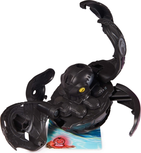 tout le nécessaire pour jouer dans la boîte