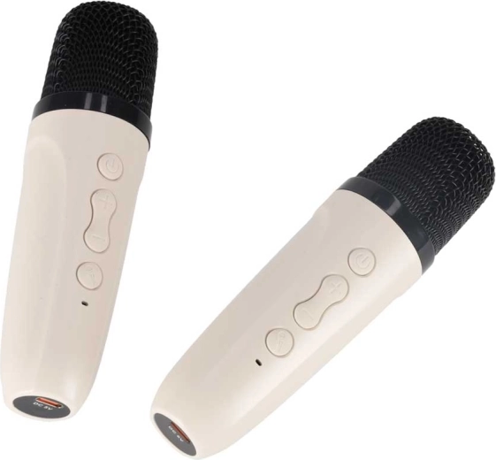Deux microphones sans fil pour duos et défis