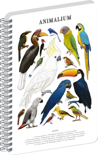 Bloc-notes spiralé Notique Animalium Oiseaux uni A5