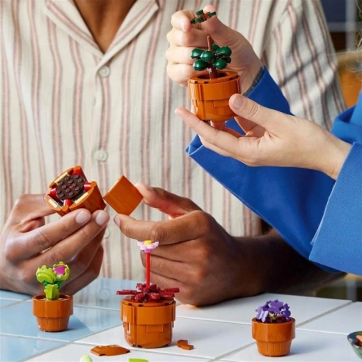 Gemeinsames Bauen und digitale Anleitung