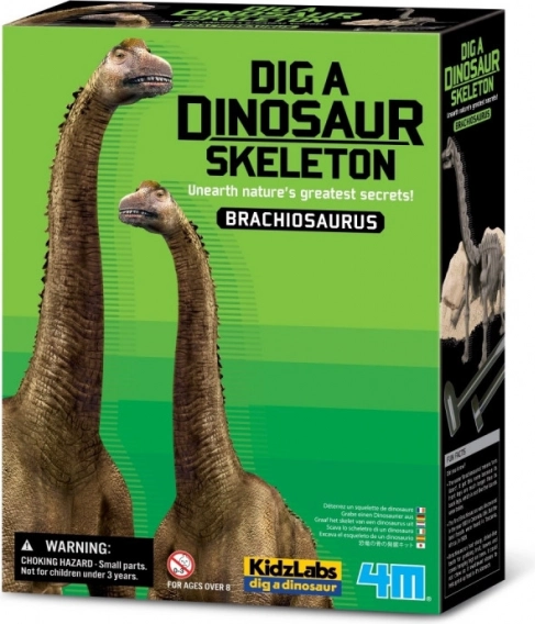 Excavation Kit - Brachiosaurus