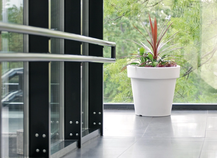 Large volume for healthy plant growth