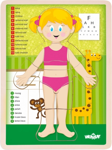 Human Body Puzzle Girl