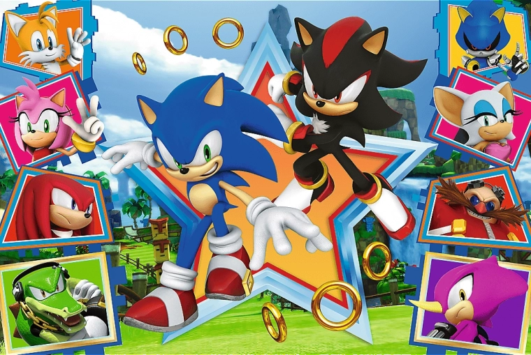 Puzzle 100 Teile - Treffen Sie Sonic