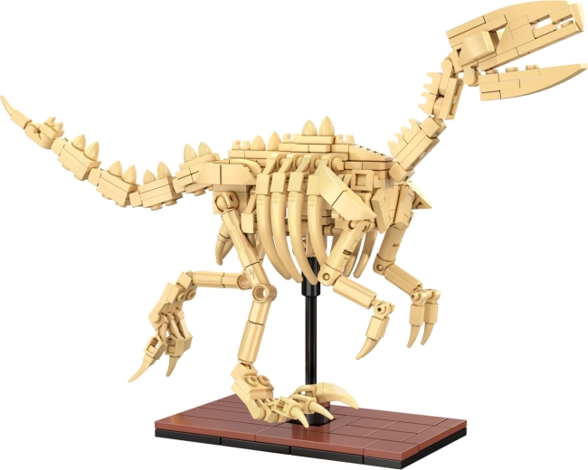 Glowing skeletons and display-ready design