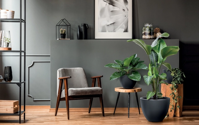 Stylish decoration for any space