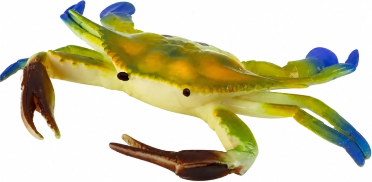 Natuurgetrouwe details zoals bij een echte krab