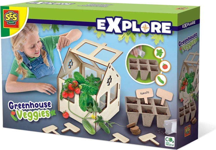 Grow tomatoes, cucumbers and herbs