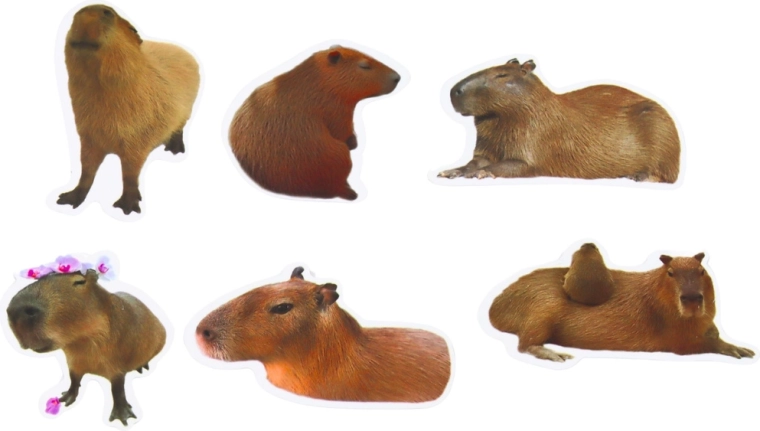 Larger 6–7 cm format for impactful decorating