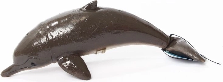 Dolphin 21 cm
