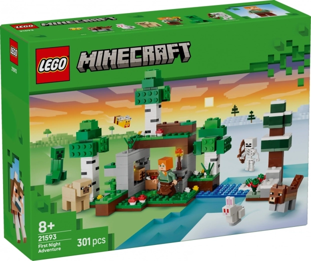 LEGO Minecraft The First Night Adventure
