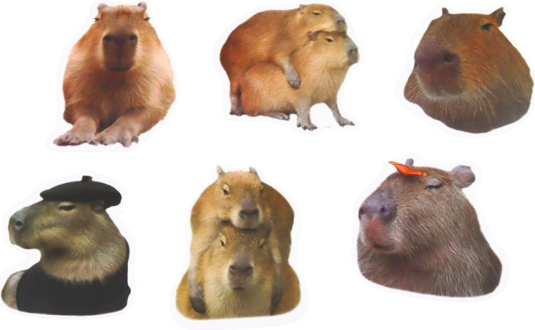 Realistic capybara designs