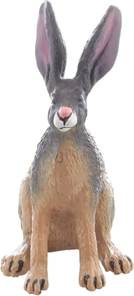 Ideaal formaat voor verzameling en onderweg