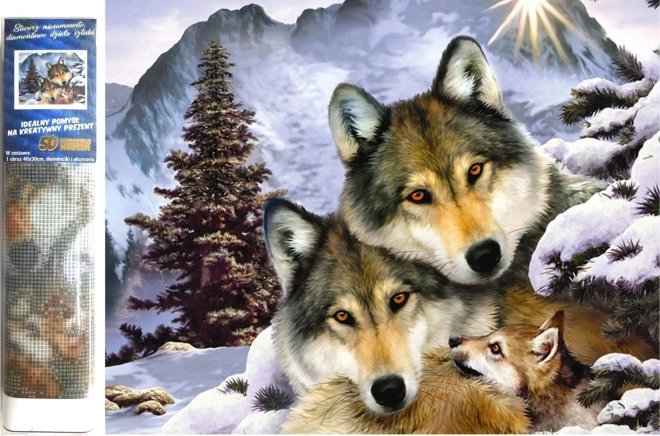 Norimpex diamantschilderen – wolvenfamilie 30 × 40 cm