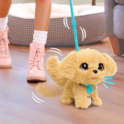 Walkies with a leash just like real life