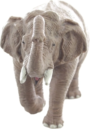 Taille idéale pour les petites mains