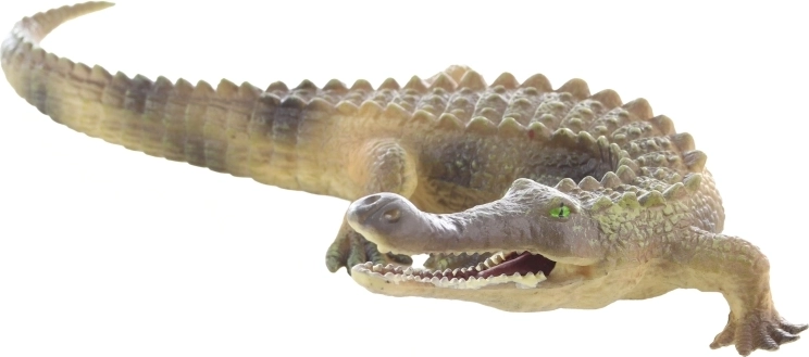 Taille idéale pour la main d’un enfant