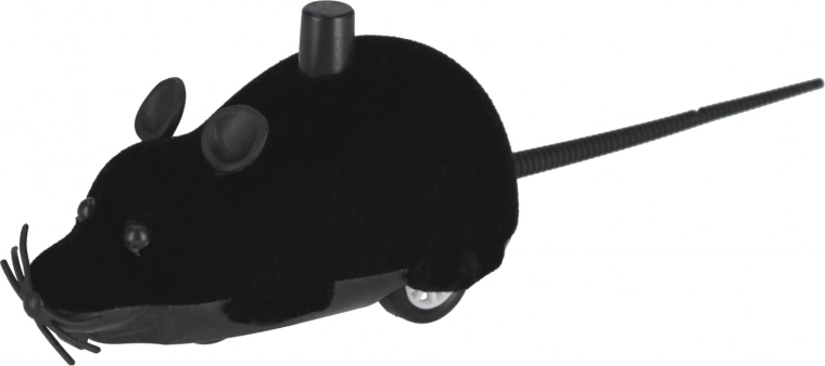 Amusement en différentes couleurs