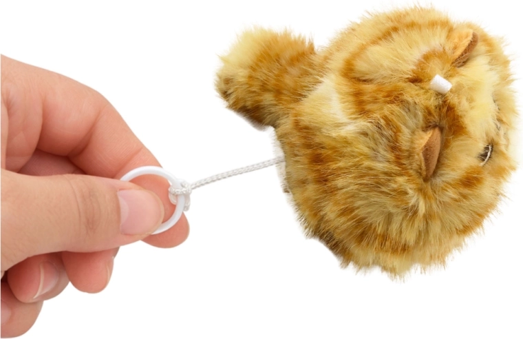 Spinning tail on a pull string