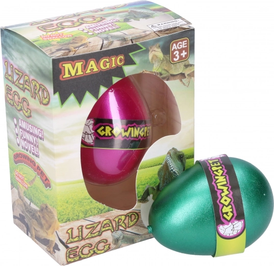 Egg with Growing Lizard