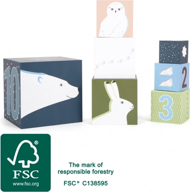 Stapelkubussen Arctic voor kinderen