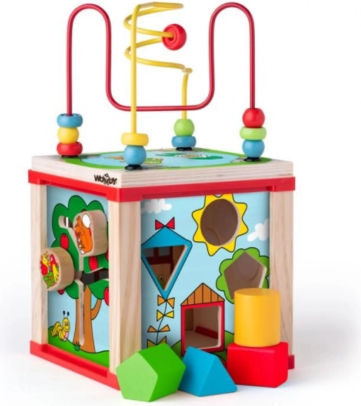 Shape sorting and first logic tasks