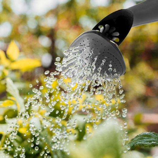 Arrosage délicat avec pomme amovible