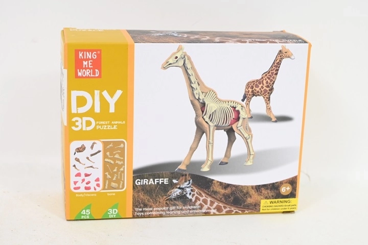 Anatomisch model van een giraf