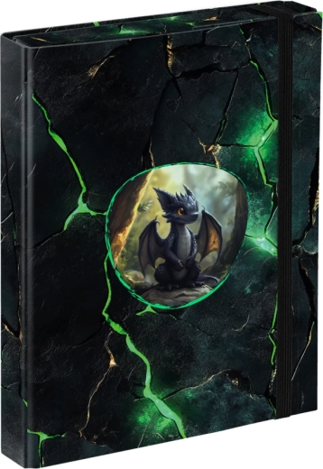 A5 Notebook Folder BAAGL Dragons