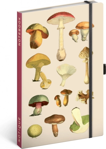 Design with mushroom illustrations by Kateřina Winterová