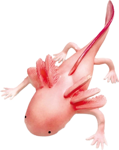 Rubber Axolotl 19 cm