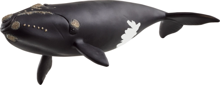 Schleich Tierfigur – Nordatlantischer Glattwal