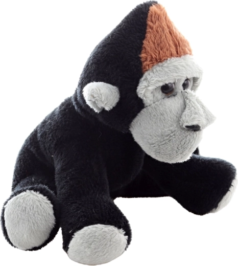 Schattige details en vriendelijke uitstraling